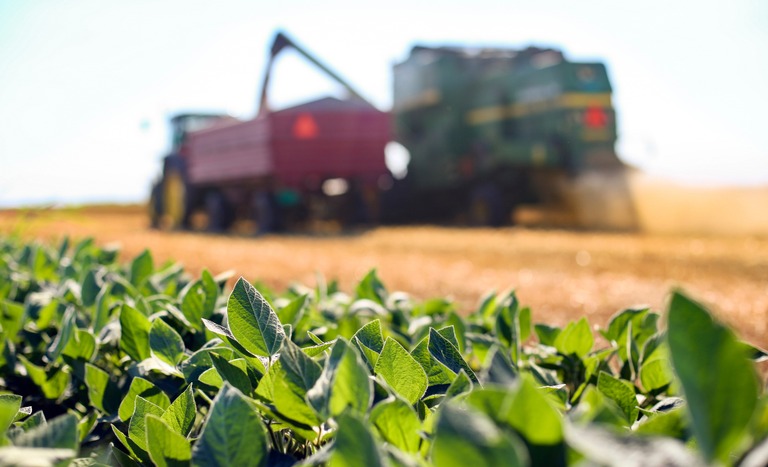 Imagem JPG, Goiás: agronegócio registra maior patamar de emprego desde 2012