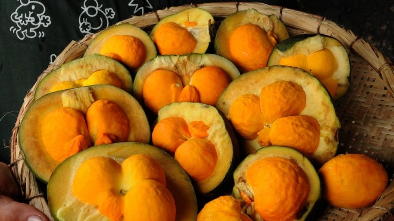 Imagem JPG, Goiás responde por 98,6% da produção nacional de pequi, ouro do Cerrado