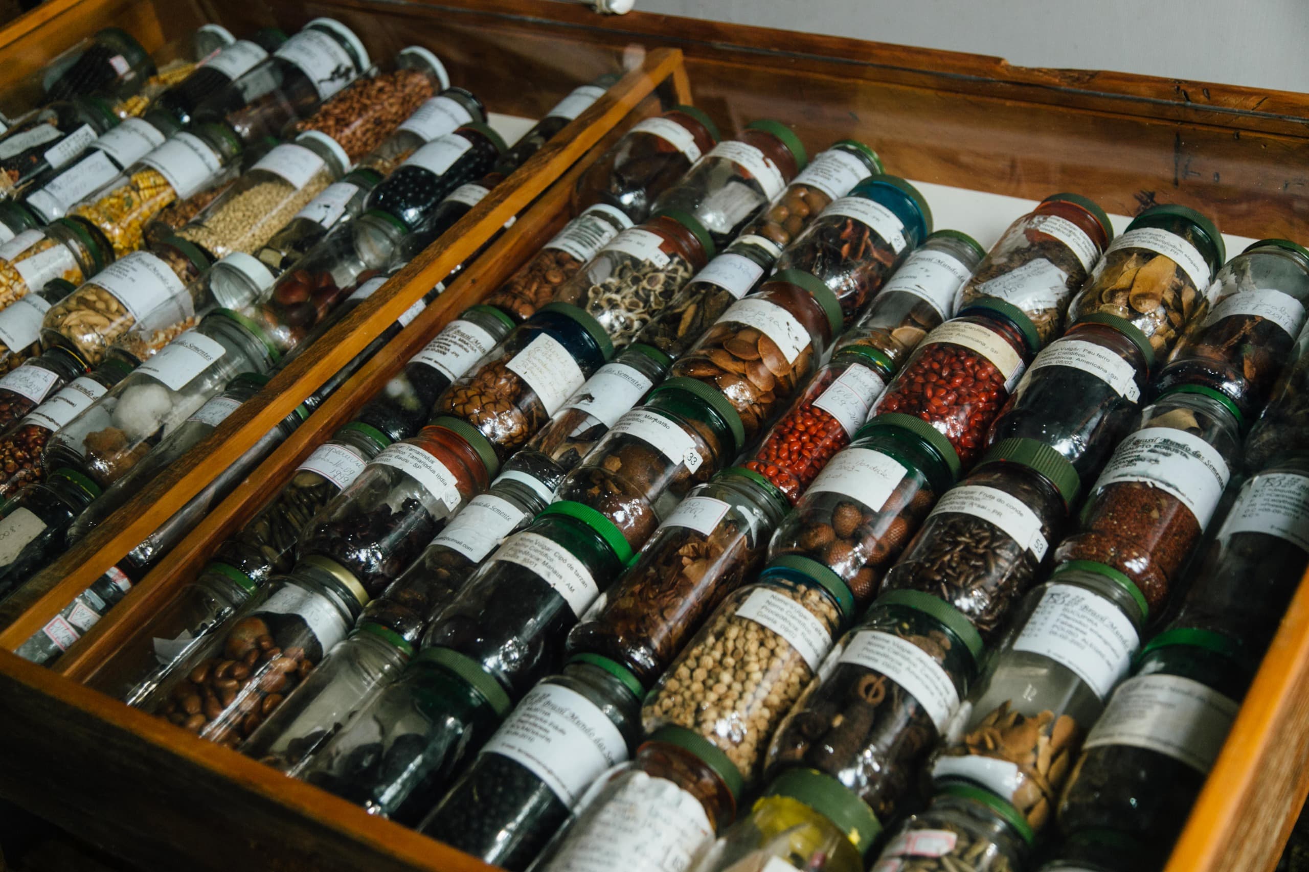 Imagem JPG, Cozinha ao vivo é atração na Expo Sabores