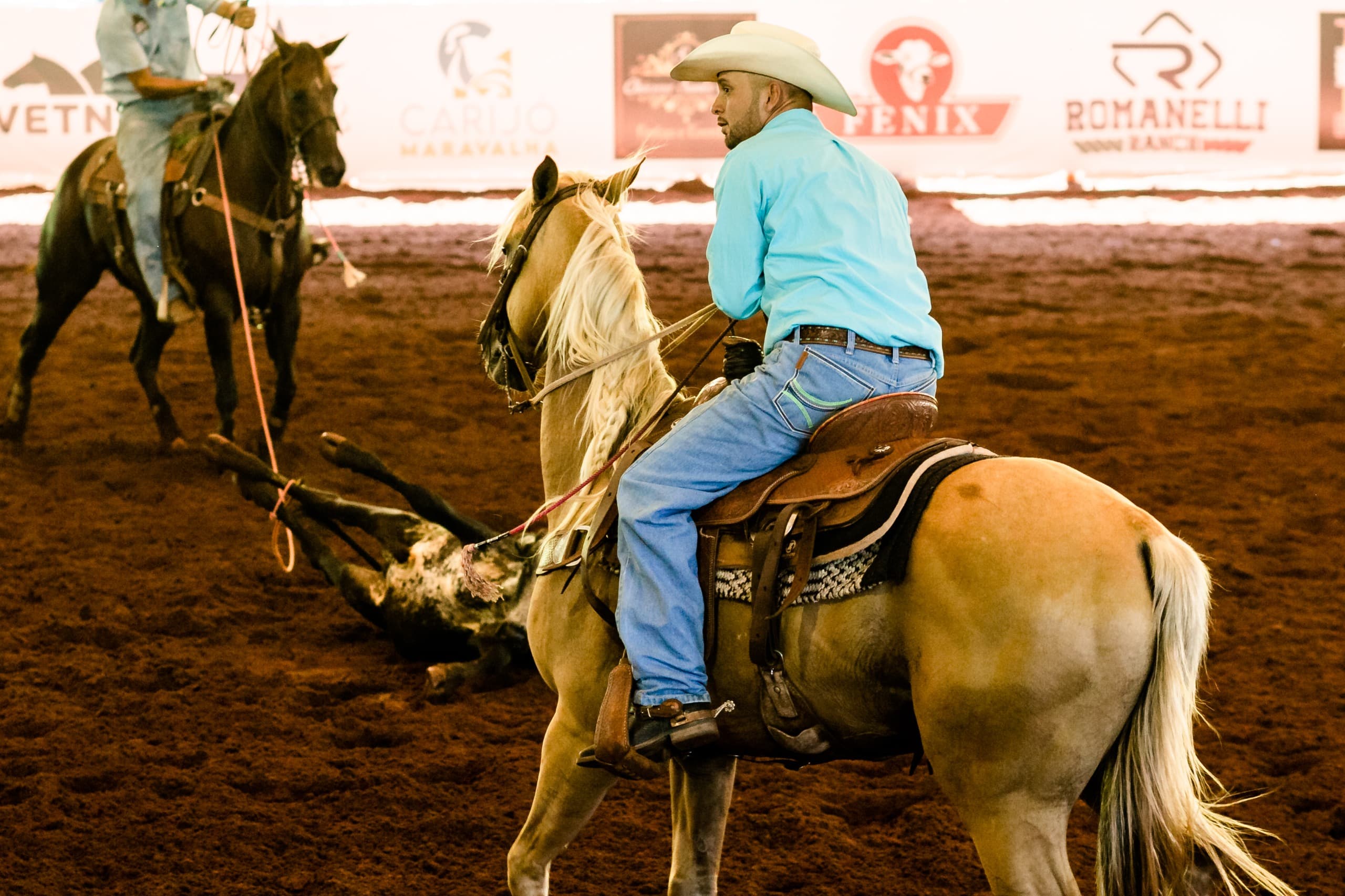 Imagem JPG, Prova de laço em dupla será neste fim de semana na ExpoLondrina
