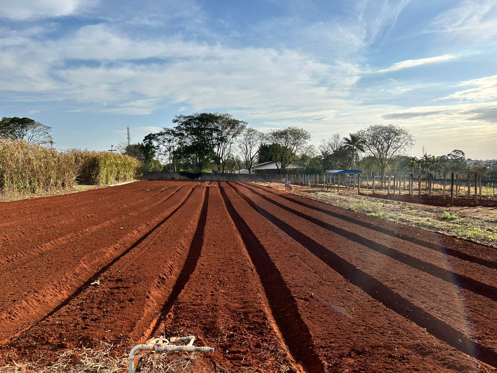 Imagem JPG, Cocriagro e Unifil escolhem startups que vão participar da Smart Farm 2025